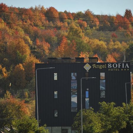 Hotel Angel Sofia Fălticeni 外观 照片