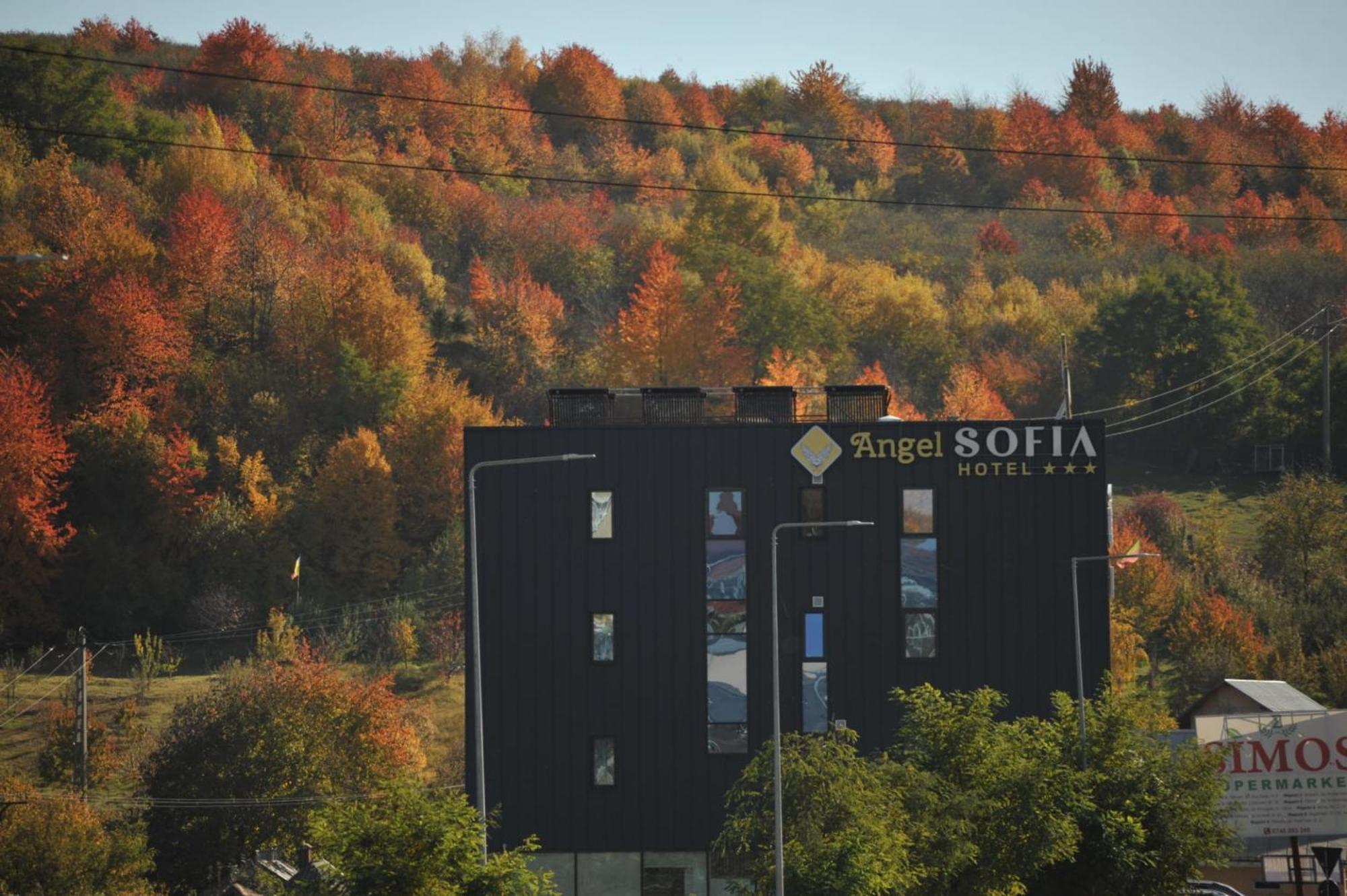 Hotel Angel Sofia Fălticeni 外观 照片